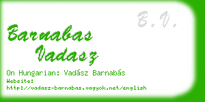 barnabas vadasz business card